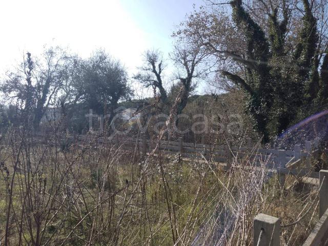 Villa Indipendente in affitto a Quartiere Le Valli, Comacchio