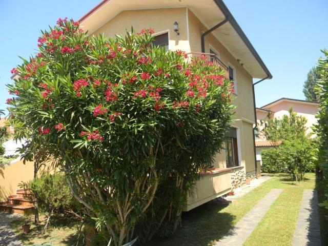 Villa Indipendente in affitto a Marina di Pietrasanta, Tonfano