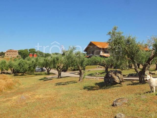 Villa Indipendente in affitto a Nepi, Lazio