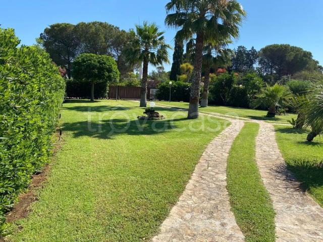 Villa Indipendente in affitto a Rosa Marina di Ostuni, Puglia