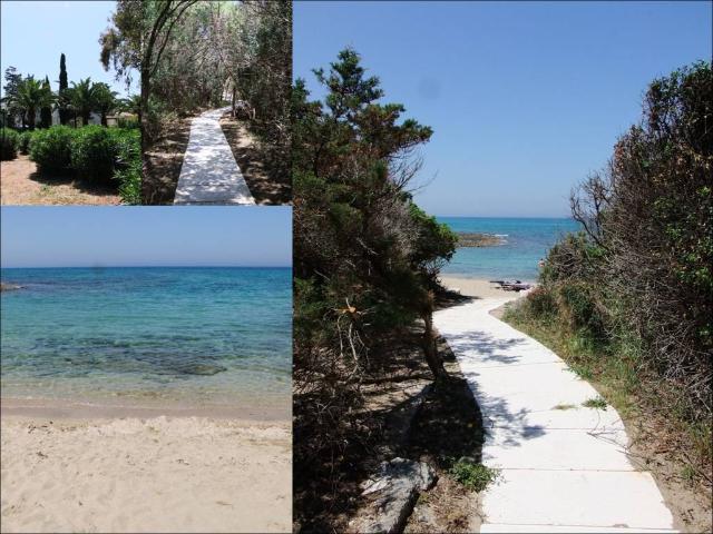 Villa Indipendente in affitto a Rosa Marina di Ostuni, Puglia