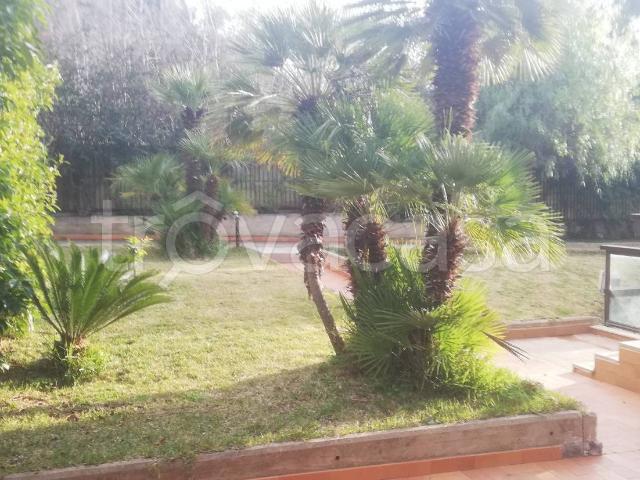 Villa Indipendente in affitto a VII Circoscrizione, Palermo