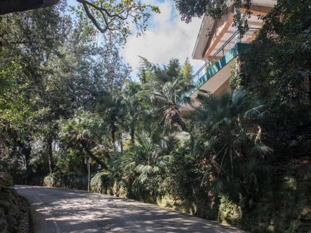 Villa Indipendente in affitto a Municipio Roma II, Roma Capitale