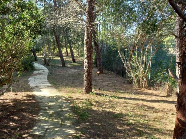 Villa Indipendente in affitto a Puglia, Taranto