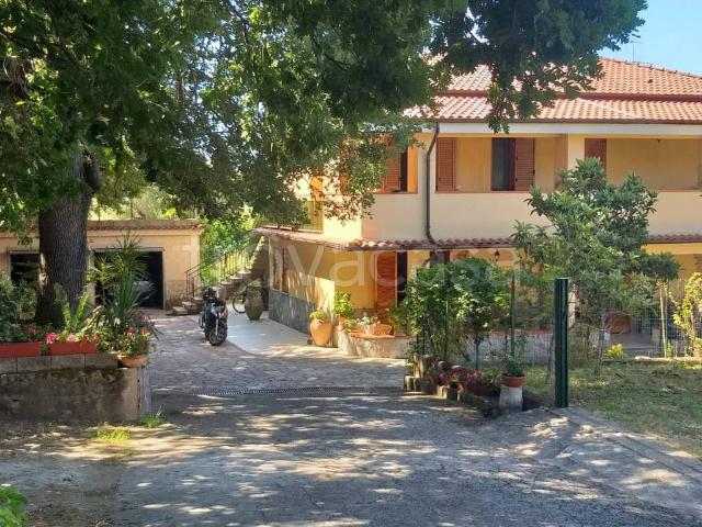 Villa Indipendente in affitto a Centola, Campania