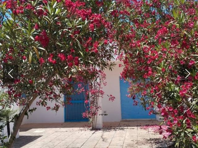 Villa Indipendente in affitto a Ortueri, Sardigna/Sardegna