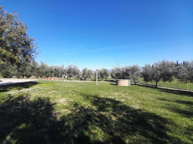 Villa Indipendente in affitto a Collicello, Amelia