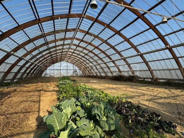 Villa Indipendente in vendita a Piemonte, Alessandria