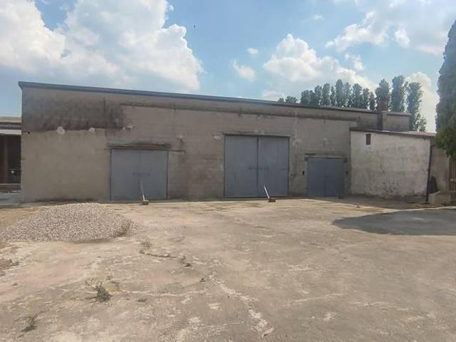 Villa Indipendente in vendita a Cerea, Veneto