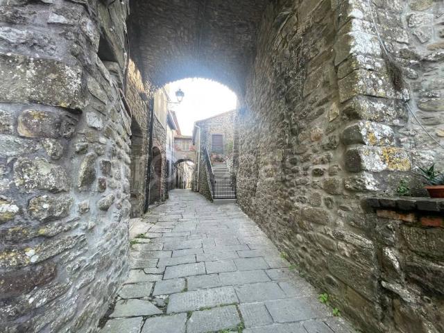 Villa Indipendente in vendita a Ceserano, Fivizzano