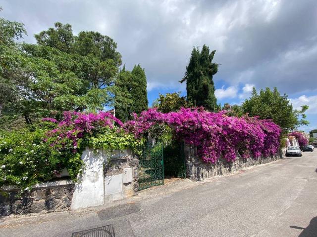 Villa Indipendente in vendita a Piripissa, Ischia