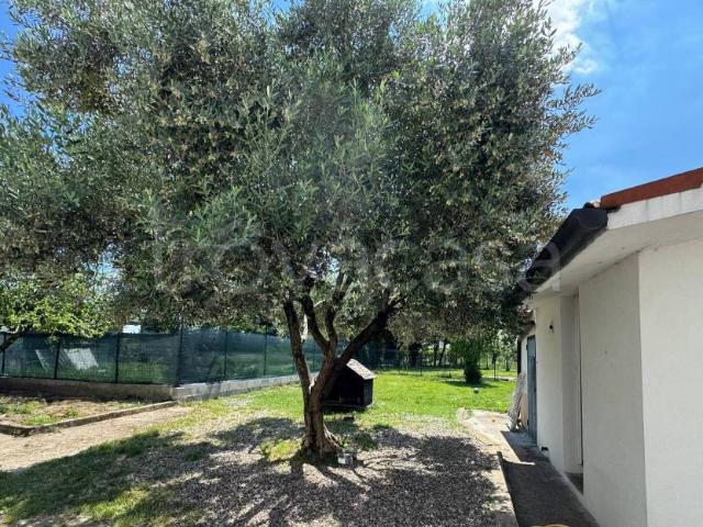 Villa Indipendente in vendita a Lonigo, Veneto