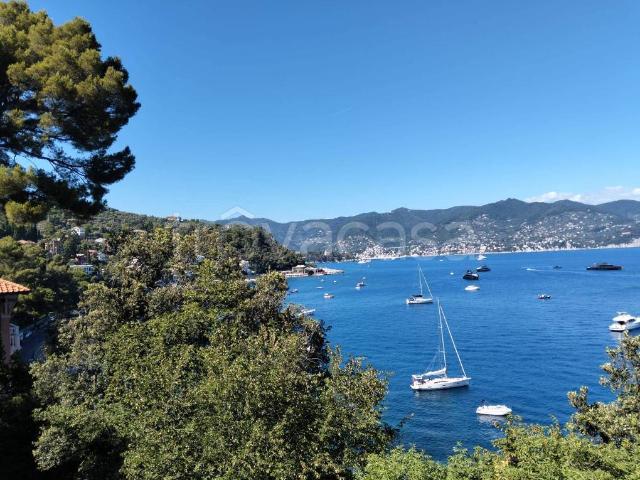 Villa Indipendente in vendita a San Lorenzo Della Costa, Liguria