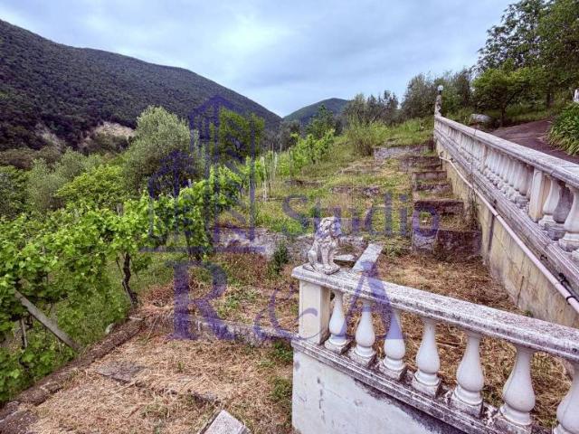Villa Indipendente in vendita a Salisano, Lazio