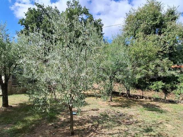 Villa Indipendente in vendita a Vaiano, Prato