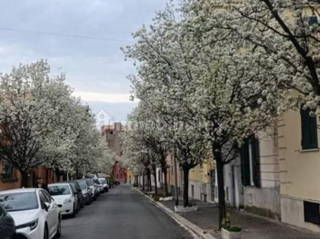 Villa Indipendente in affitto a Municipio Roma V, Roma Capitale