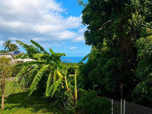 Maison vente à La Réunion