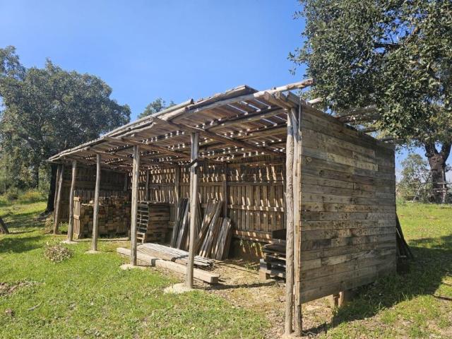 Casa venda em Castelo Branco