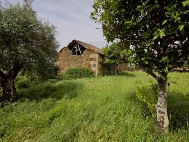 Casa venda em Castelo Branco