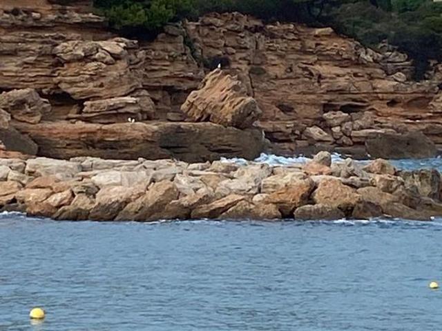 Chalet en venta en Calafat, l'Ametlla de Mar