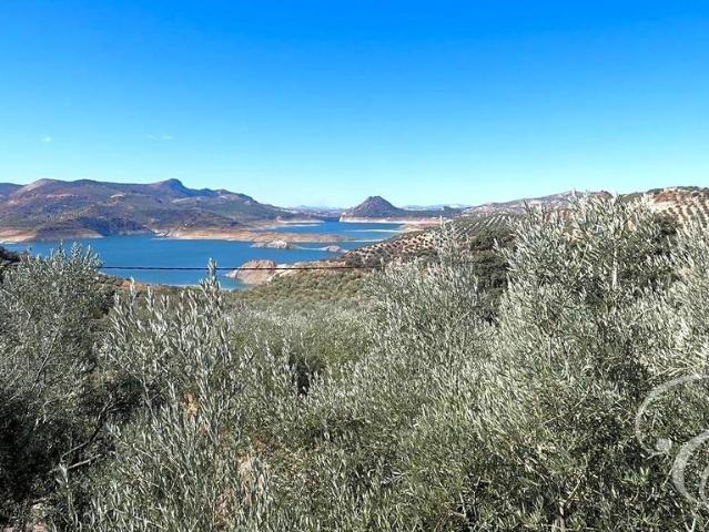 Chalet en venta en Rute, Andalucía