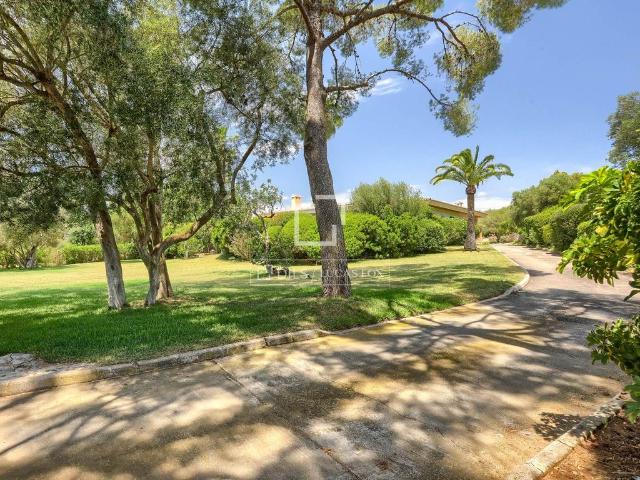 Chalet en venta en sa Cabaneta, Raiguer