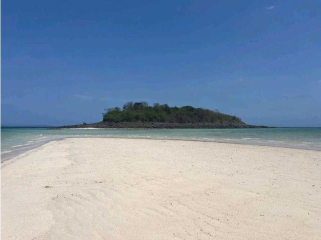 Villa / Chalet de lujo en venta Albrook, Provincia de Panamá