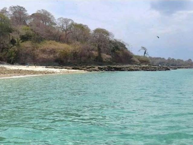 Villa / Chalet de lujo en venta Albrook, Provincia de Panamá