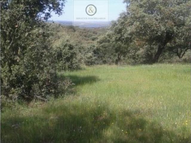 Chalet en venta en Llanos de Olivenza, Extremadura