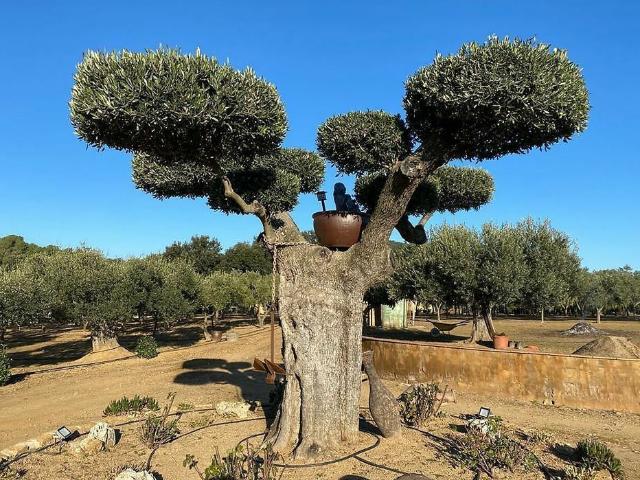 Chalet en venta en Baix Empordà, Catalunya