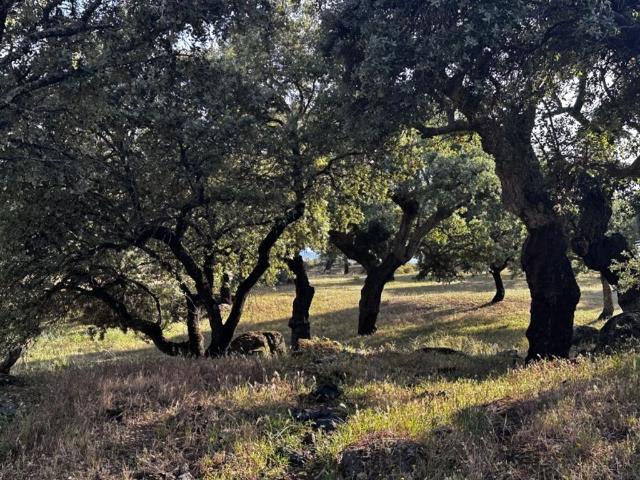 Chalet en venta en Valencia De Alcántara, Extremadura