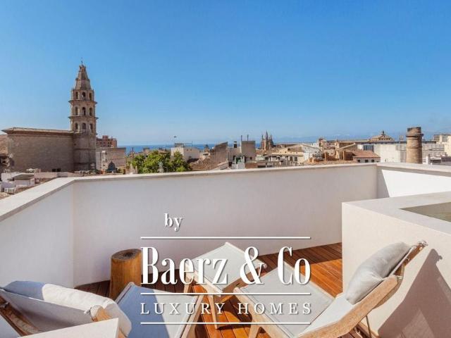 Villa en venta en Palma, Canavall