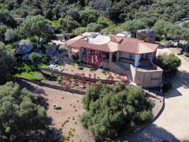 Villa Indipendente in vendita a Arzachena