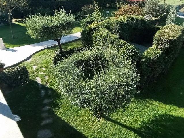 Villa Indipendente in vendita a Campiglioni, Camaiore