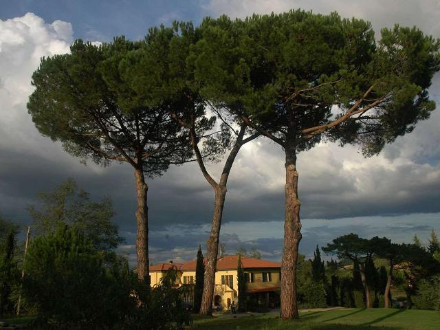 Villa Indipendente in vendita a Fauglia, Toscana