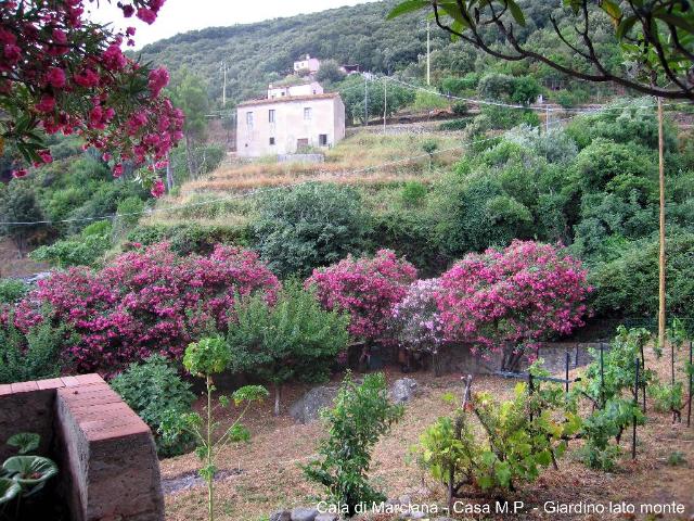 Villa Indipendente in vendita a Il Tasso, Marciana