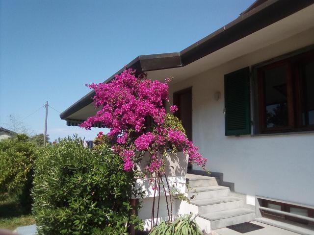 Villa Indipendente in vendita a Massarosa, Toscana