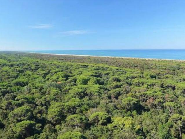 Villa Indipendente in vendita a Viareggio, Toscana