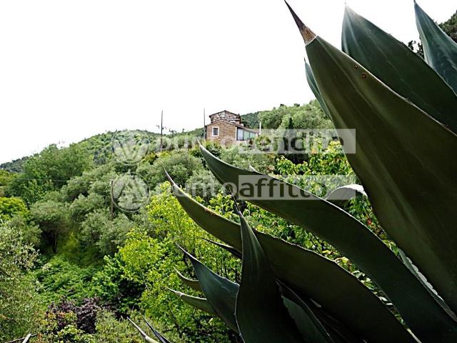 Villa Indipendente in vendita a Collina, Capannori