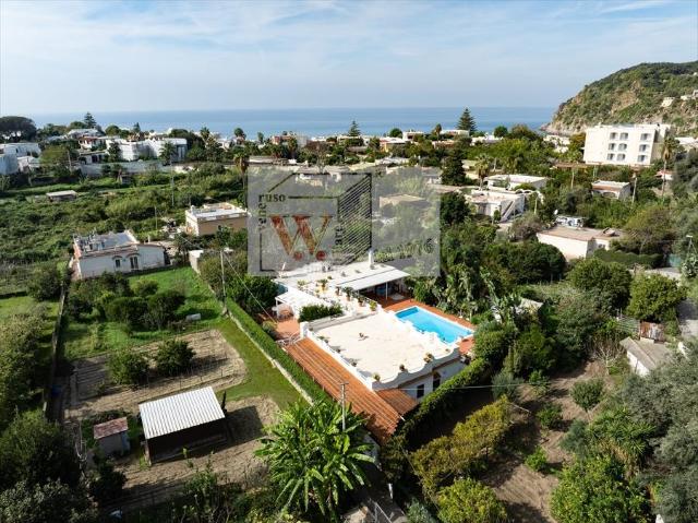 Villa Indipendente in vendita a Forio, Campania
