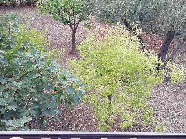 Villa Indipendente in vendita a Santa Rita, Lanciano