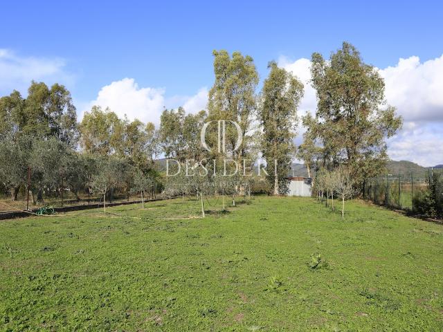 Villa Indipendente in vendita a Castiglione Della Pescaia, Toscana
