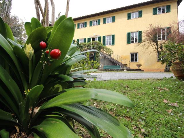 Villa Indipendente in vendita a Sant'Alessio, Bagni Di Lucca Ponte