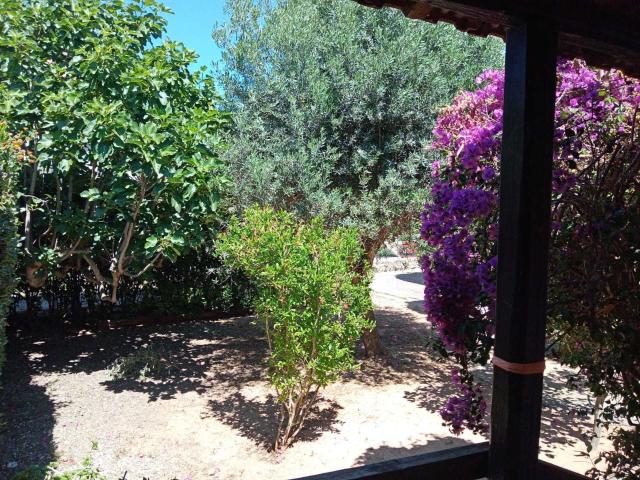 Villa Indipendente in vendita a Olmedo, Sardigna/Sardegna