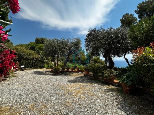 Villa Indipendente in vendita a Artallo, Imperia