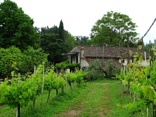 Villa Indipendente in vendita a Cigoli, San Miniato