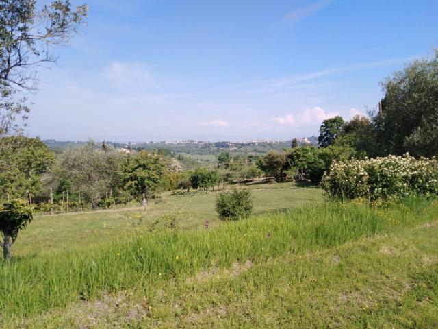 Villa Indipendente in vendita a San Miniato, Toscana