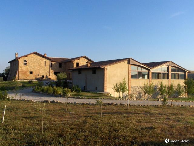 Casa in vendita a Asciano, Toscana