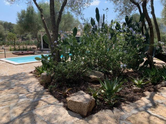 Villa Indipendente in vendita a San Pantaleo, Sardigna/Sardegna