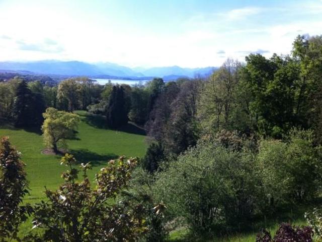 Villa Indipendente in vendita a Castronno, Lombardia